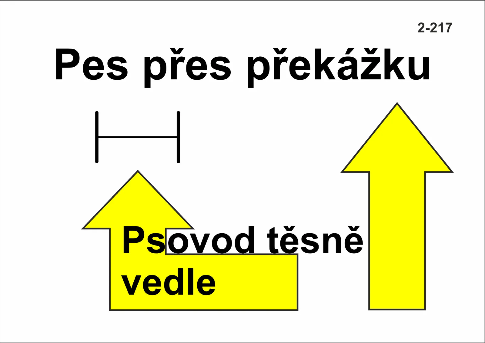2-217 Skok přes překážku – psovod těsně vedle překážky
