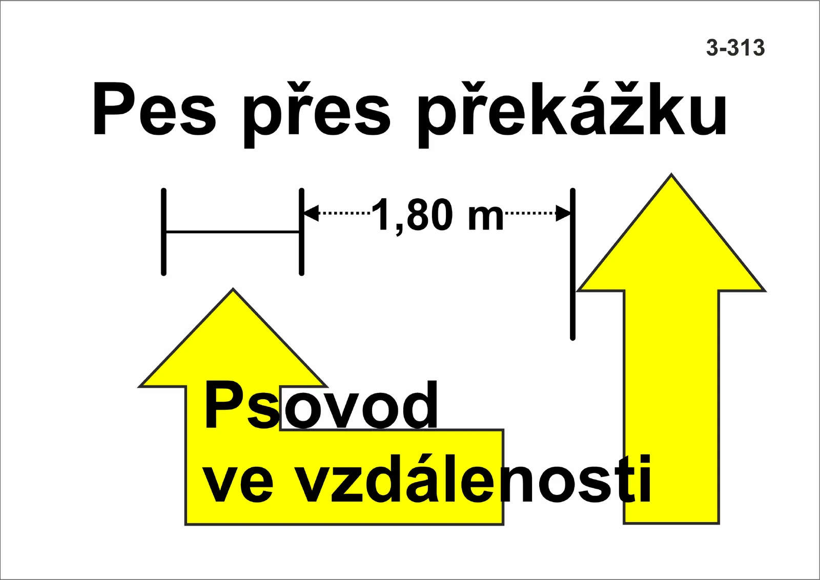 3-313 Pes přes překážku – psovod ve vzdálenosti